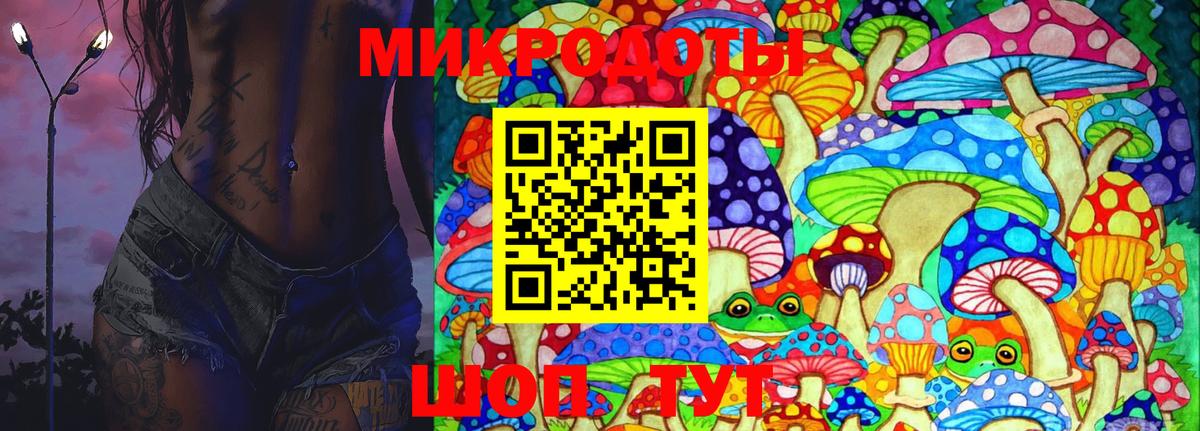 Галлюциногенные грибы Psilocybine cubensis  Вход с VPN  Верхняя Пышма 